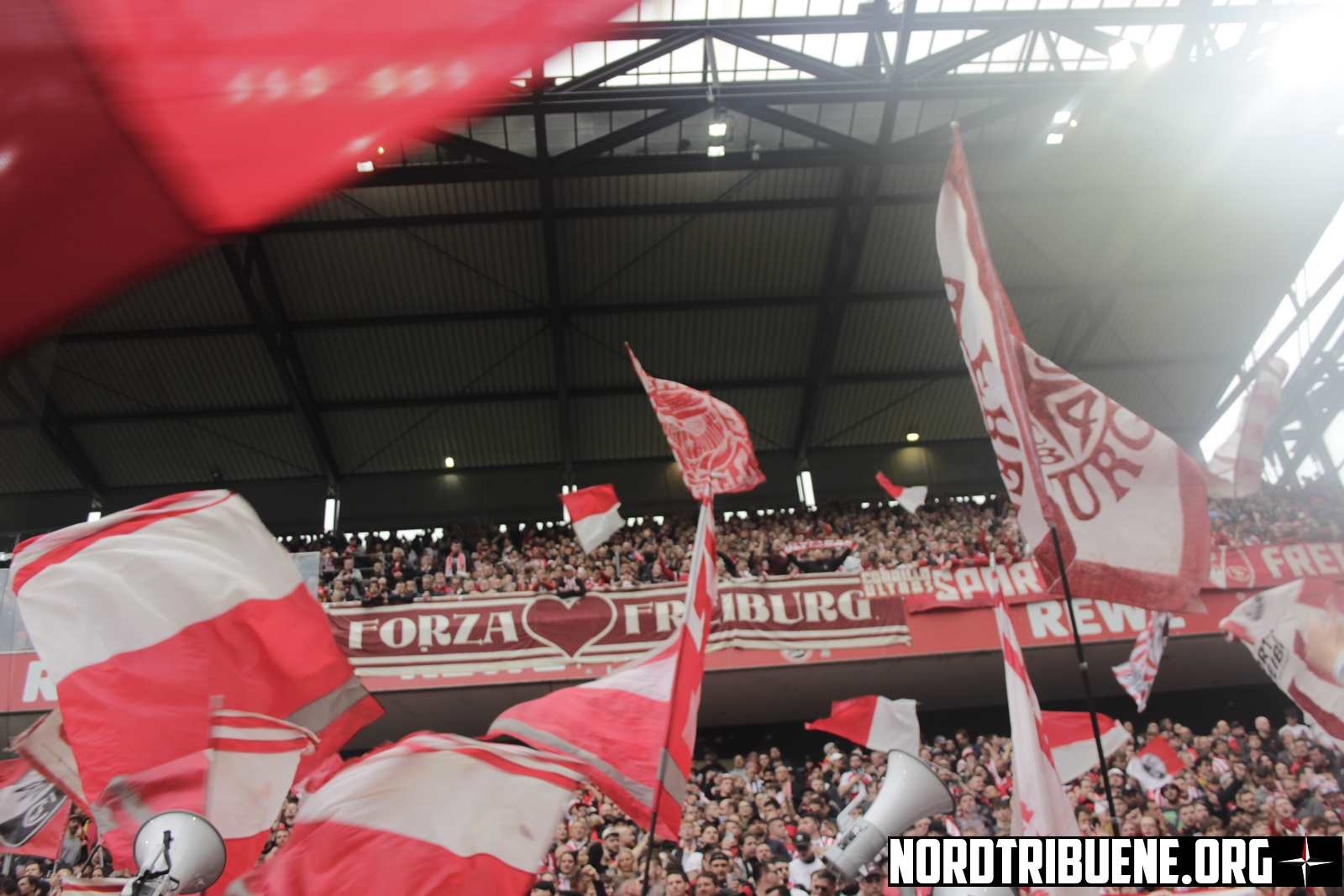 Titelbild 1. FC Köln - SC Freiburg