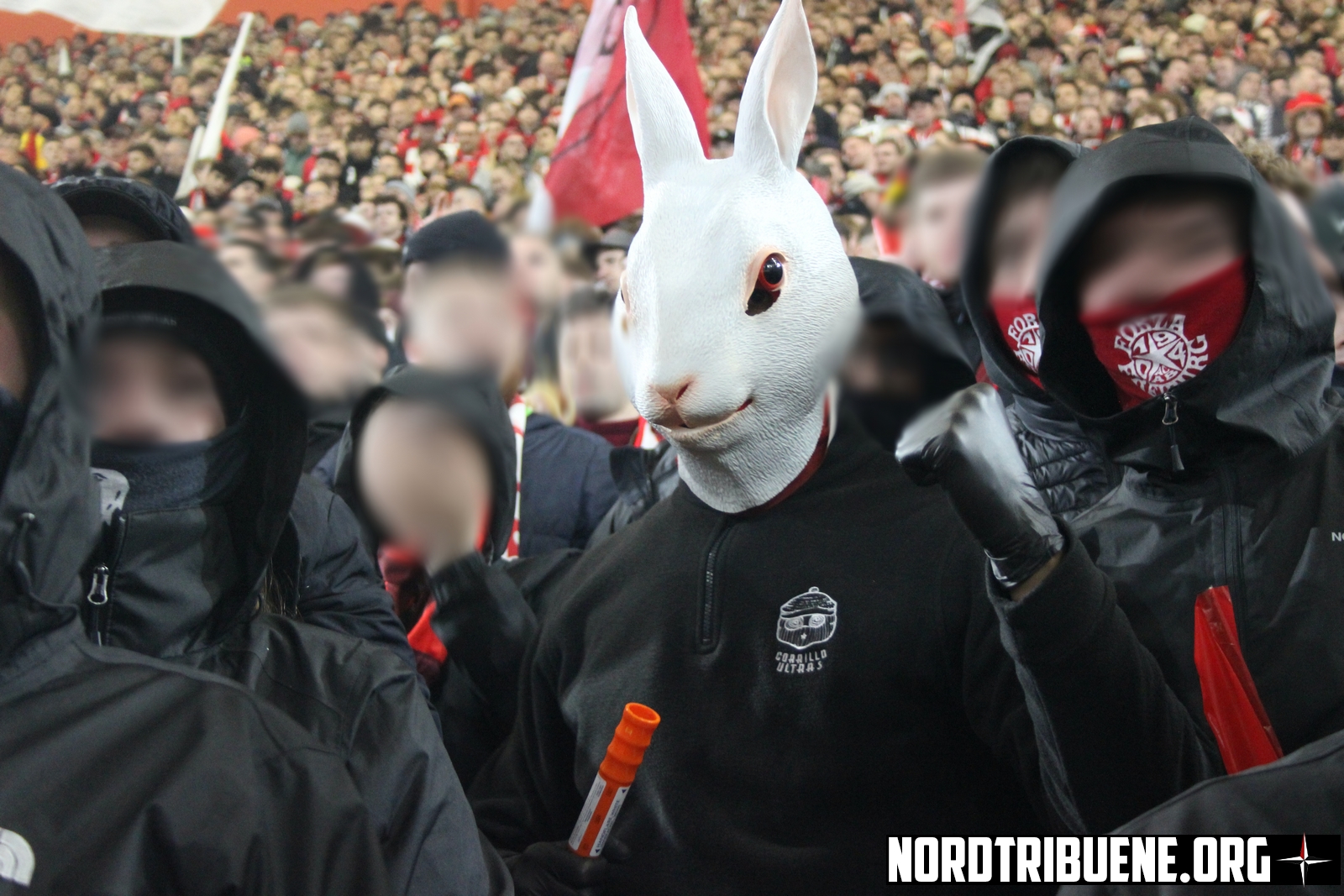 Titelbild SC Freiburg - Hamburger SV