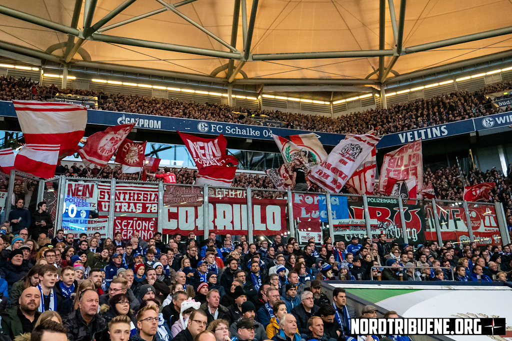 Schalke-Freiburg-08.jpg